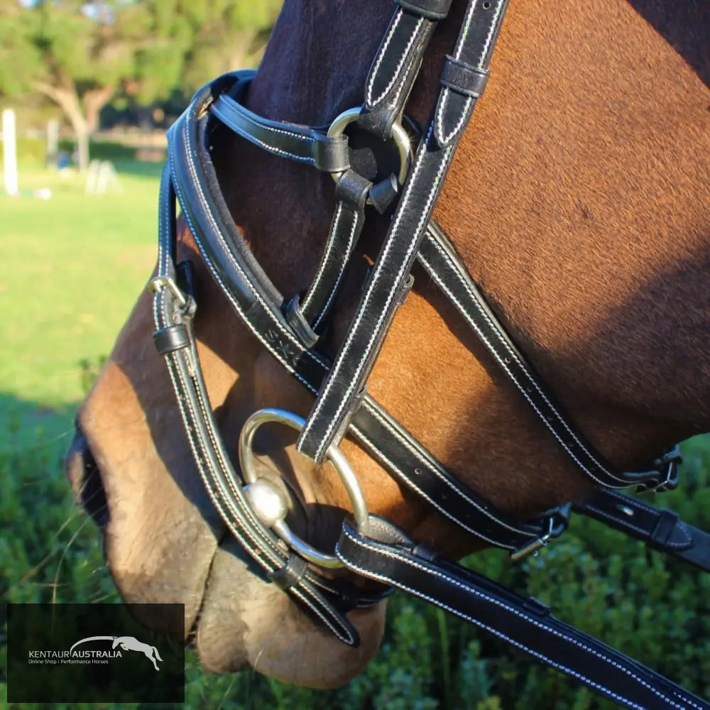 Silver Crown Spider Noseband Bridles