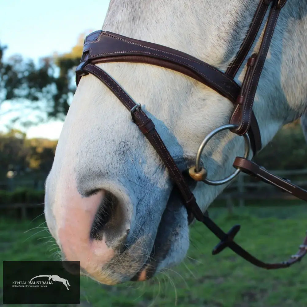 Silver Crown US Noseband Bridles