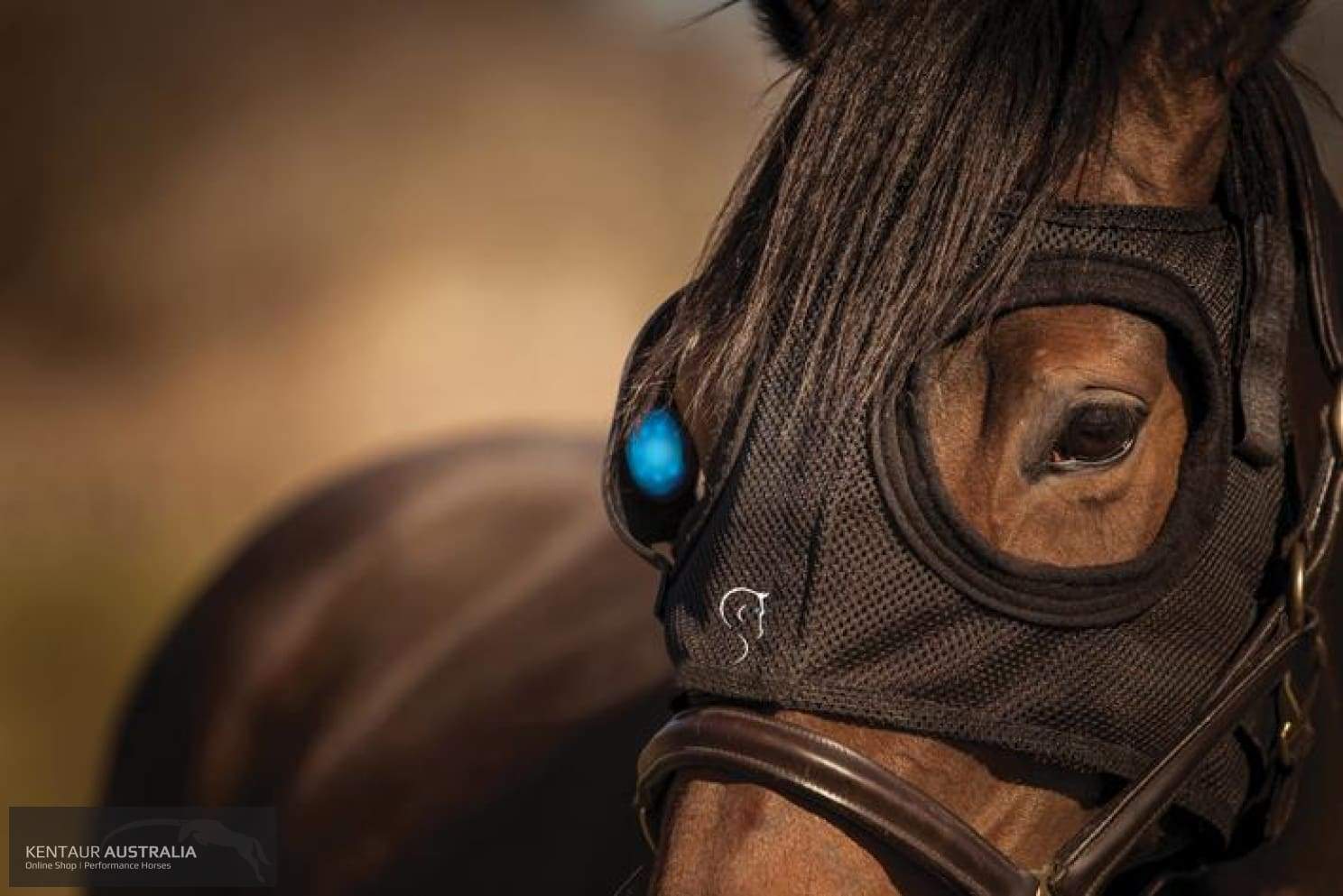 Equilume Light Mask Other Accessories