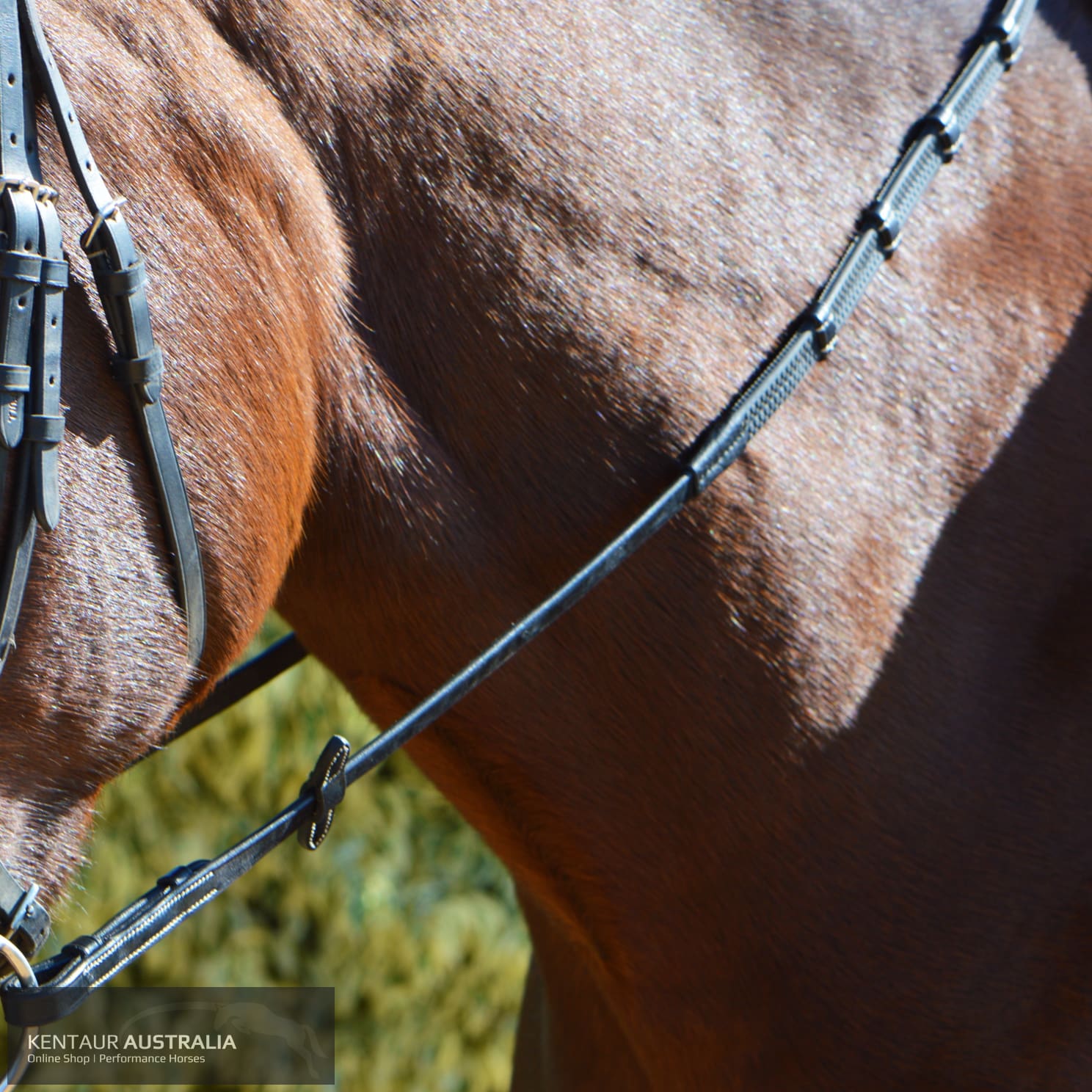 John Whitaker 9 Loop Reins Bridles