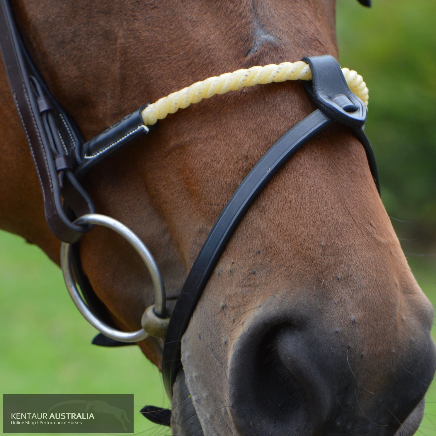 John Whitaker Rope Noseband Bridles