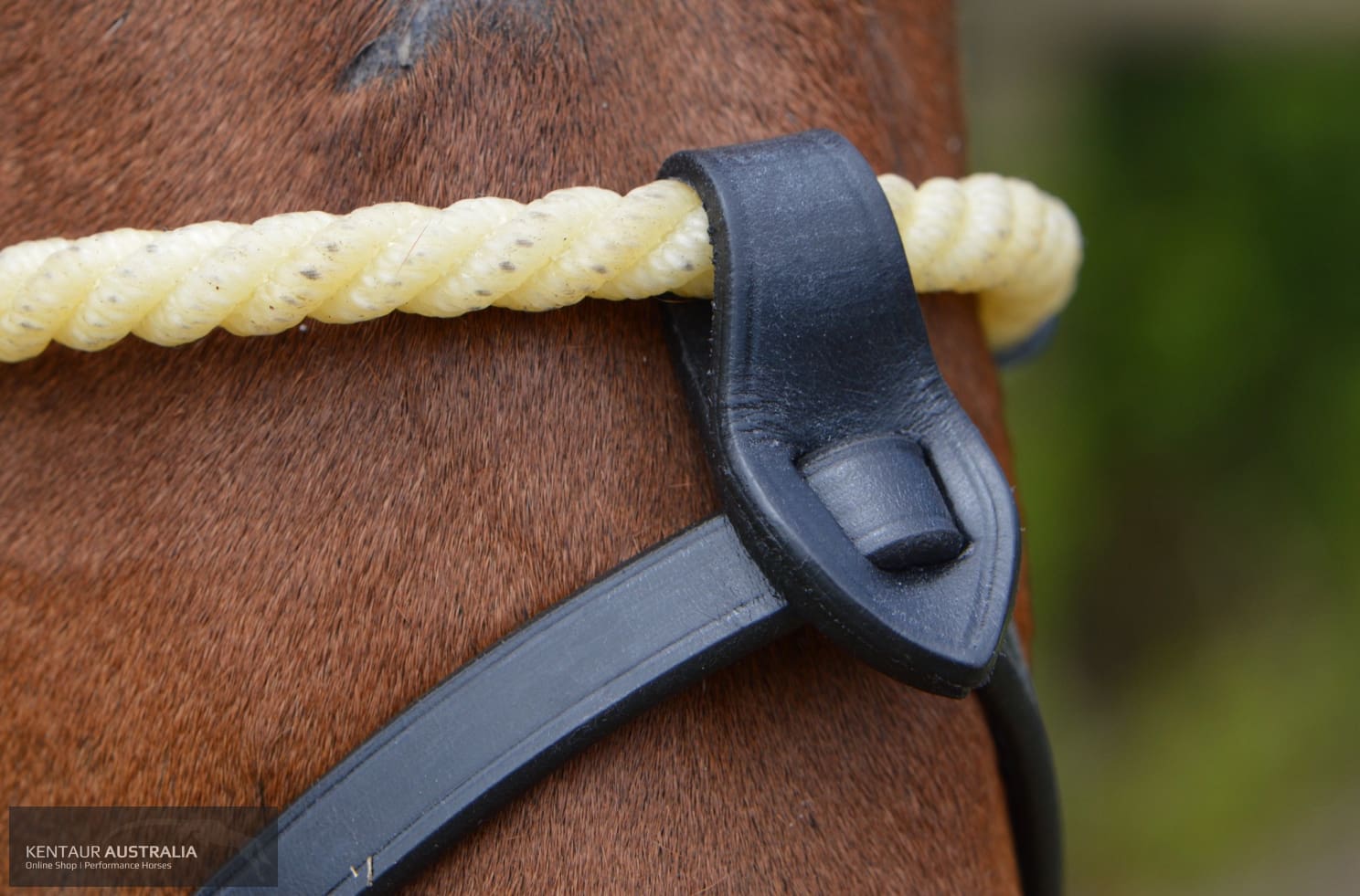 John Whitaker Rope Noseband Bridles