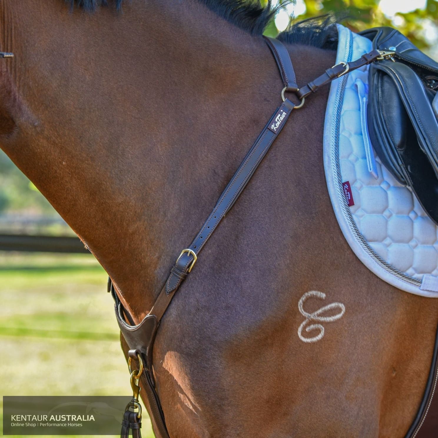 Kentaur ’Arras’ Breastplate Brown / Full Breastplates