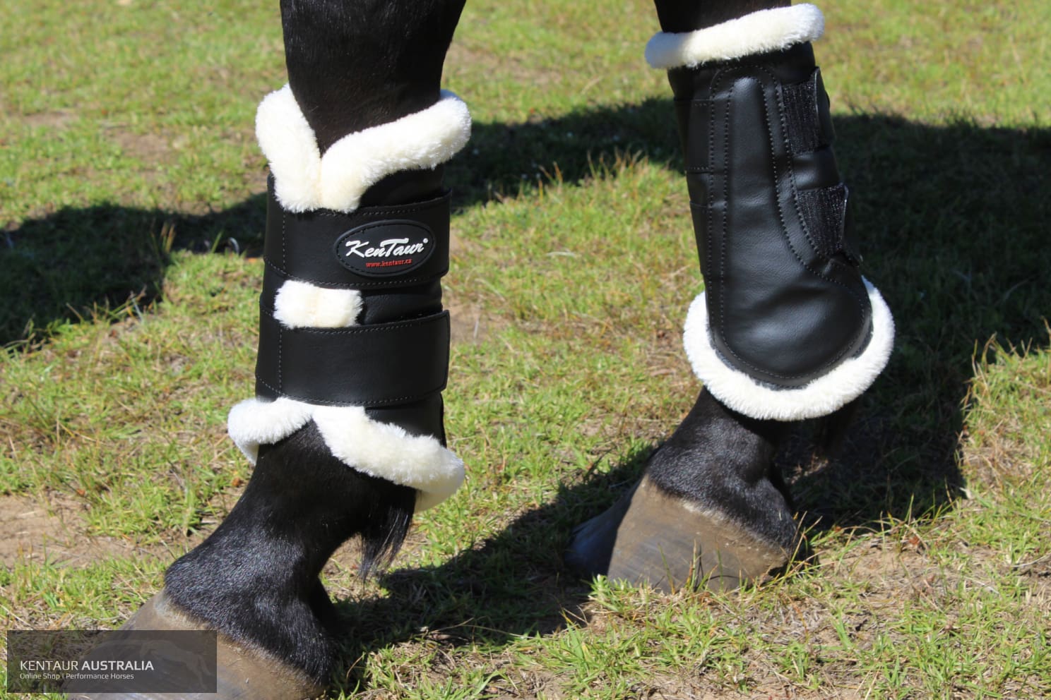 Kentaur Artificial Sheepskin Dressage Boots dressage boots