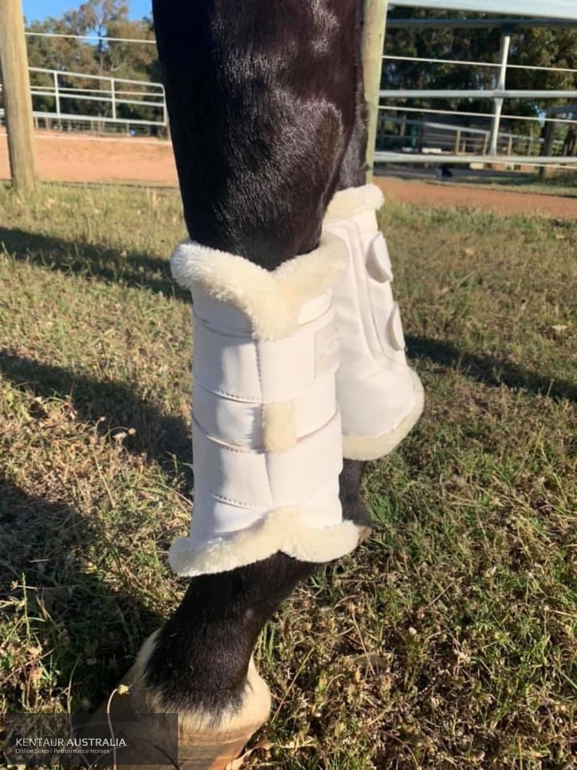 Kentaur Artificial Sheepskin Dressage Boots White / White / Full dressage boots