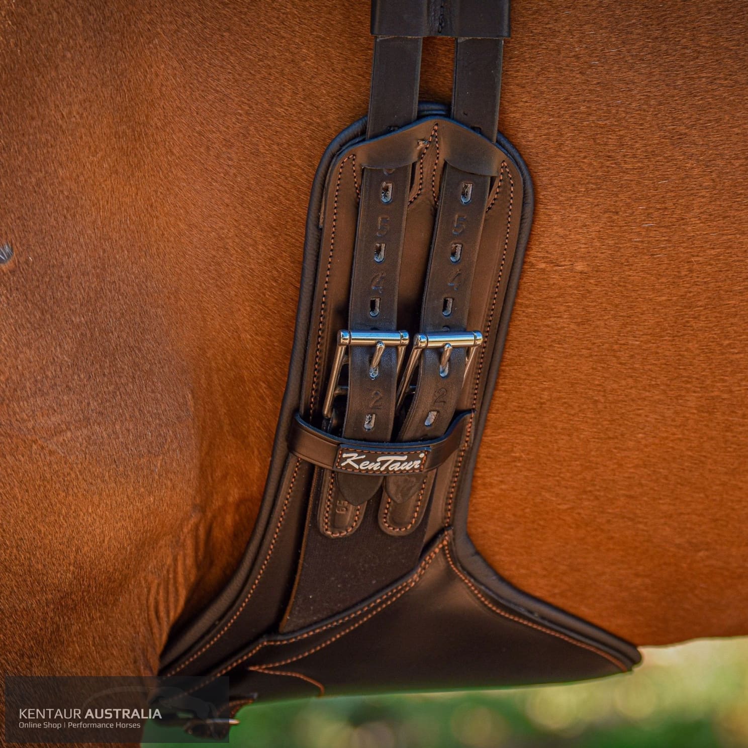 Kentaur ’Camarque’ Stud Girth jumping girths