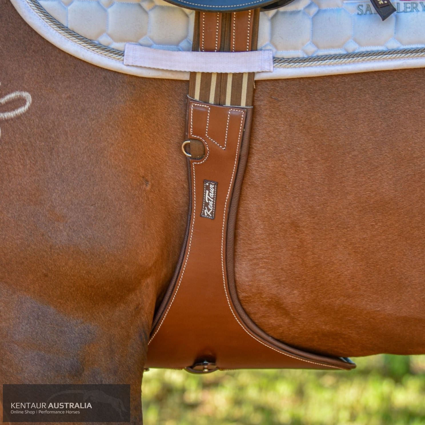 Kentaur ’Cassis’ Stud Girth jumping girths