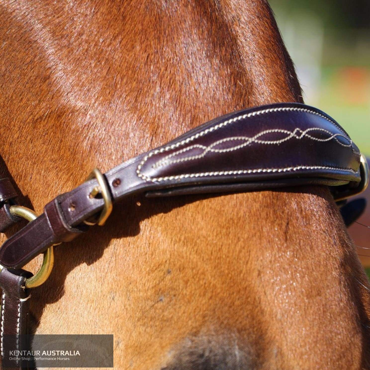 Kentaur Annie Drop Noseband Bridle Brown / Pony Bridles