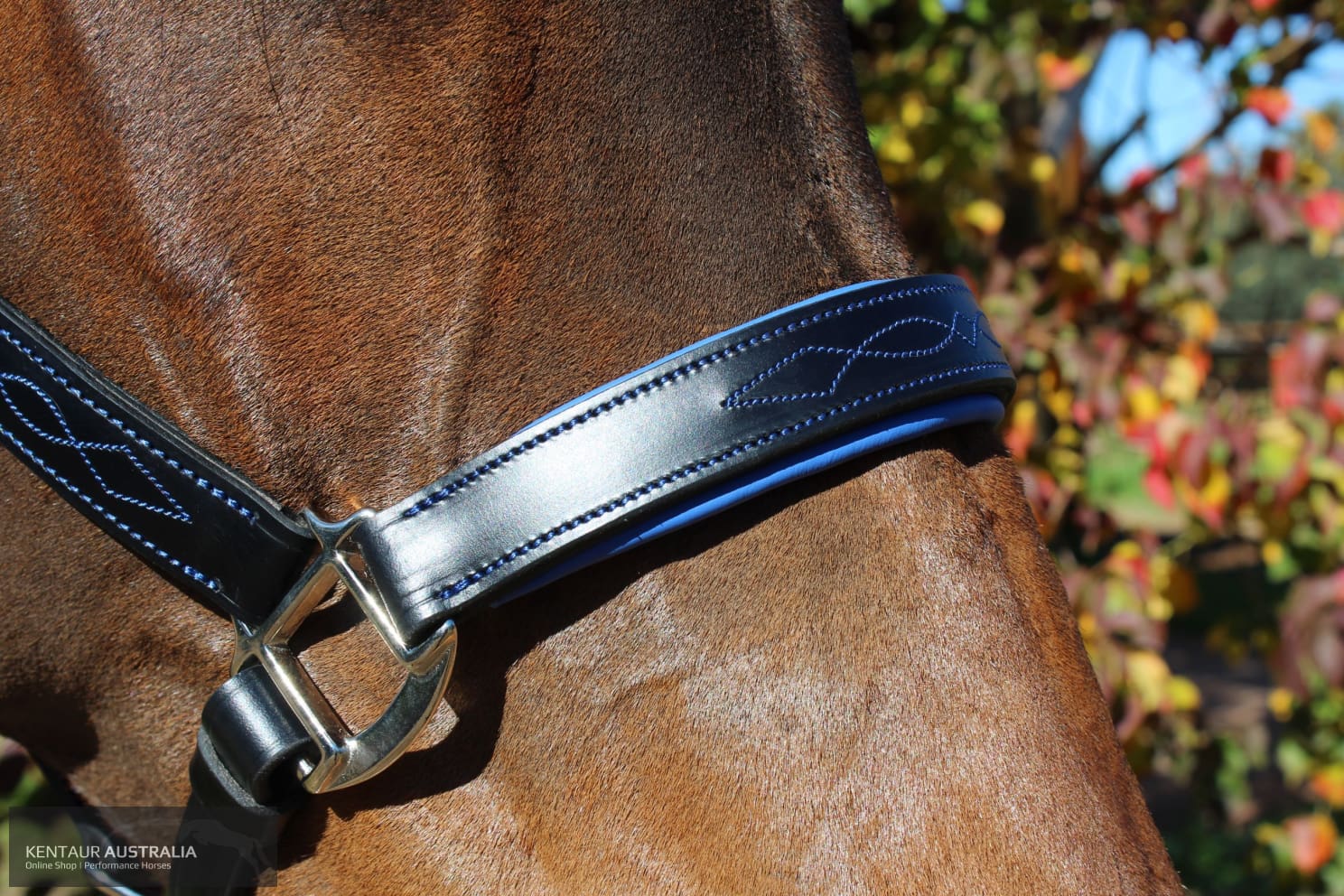 Kentaur ’Coloured’ Leather Halter Halters & Flyveils