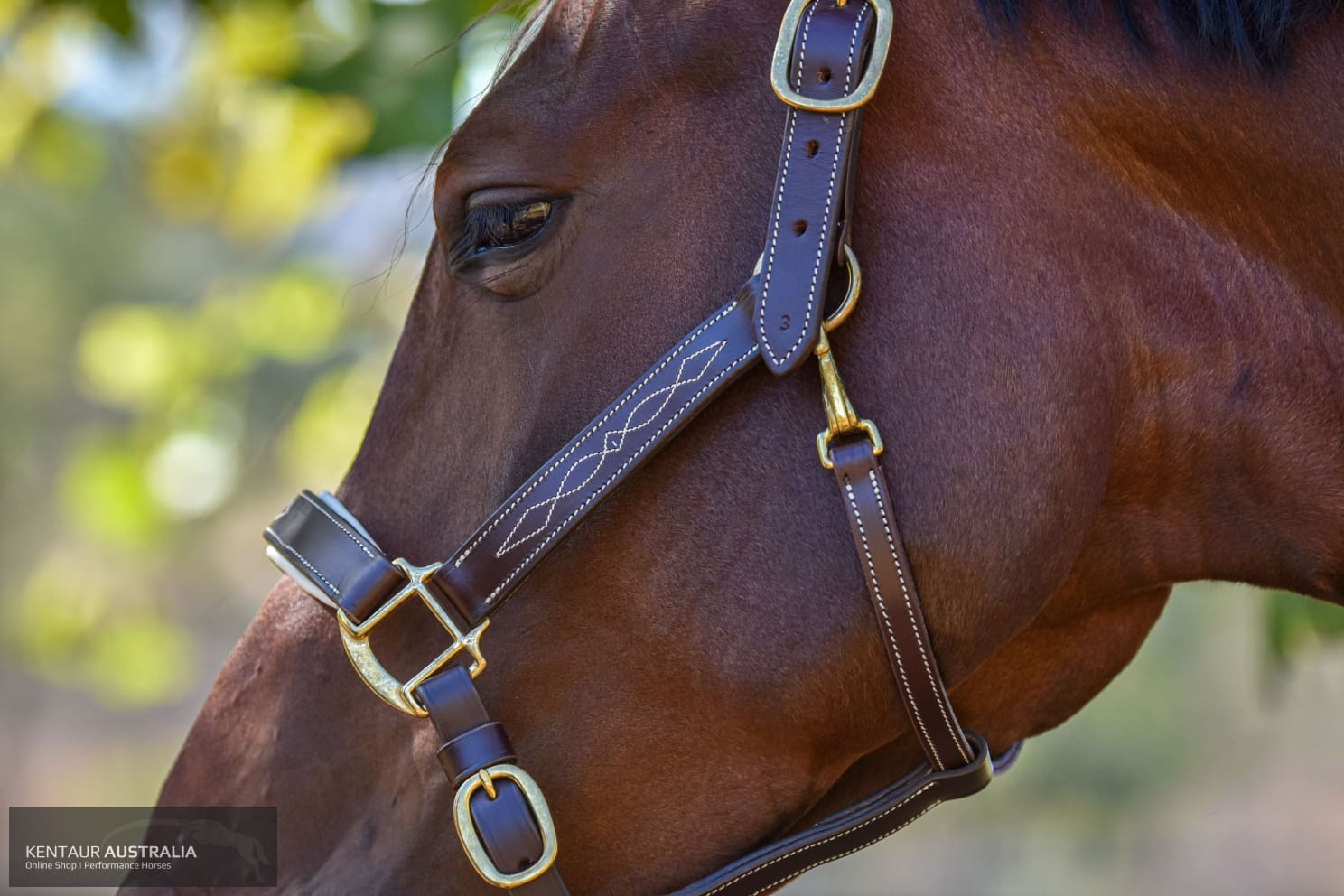 Kentaur ’Coloured’ Leather Halter Halters &amp; Flyveils