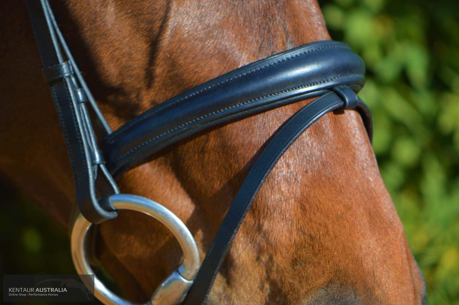 Kentaur Hanoverian Bridle With Chain Link Browband Bridles