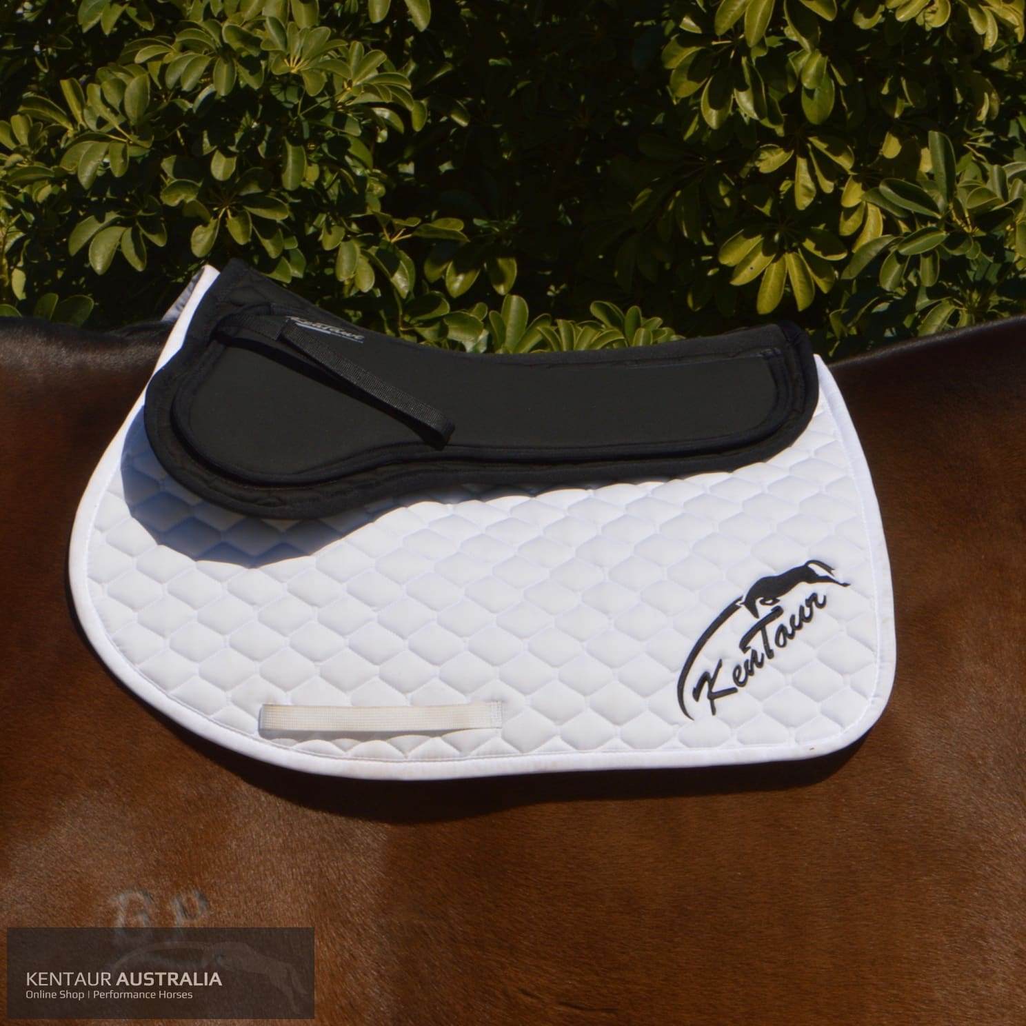 Kentaur Corrective Half Pad Saddle