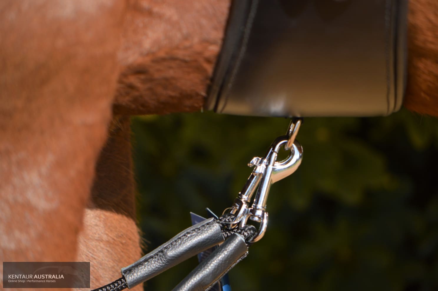 Kentaur Draw Reins With Rope Training Aids