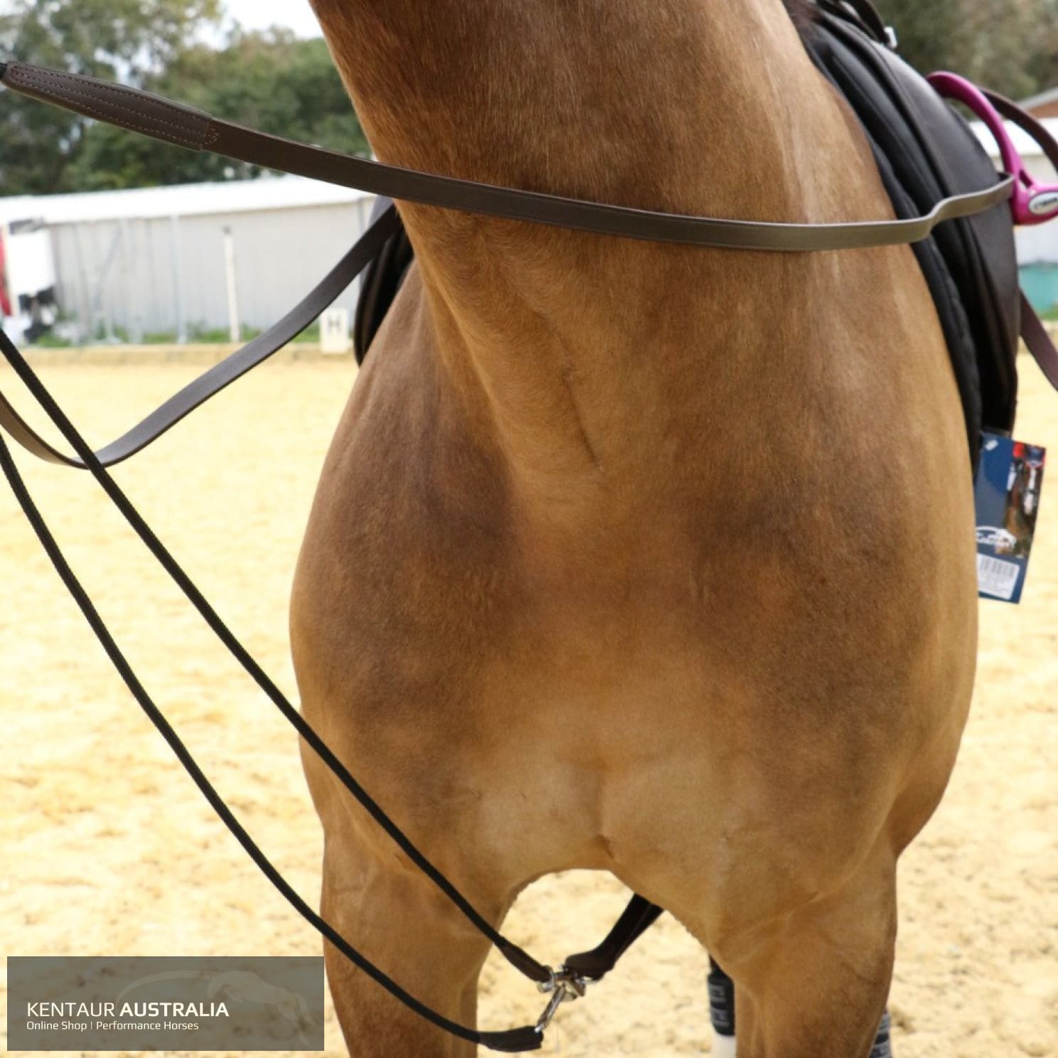 Kentaur Draw Reins With Rope Training Aids