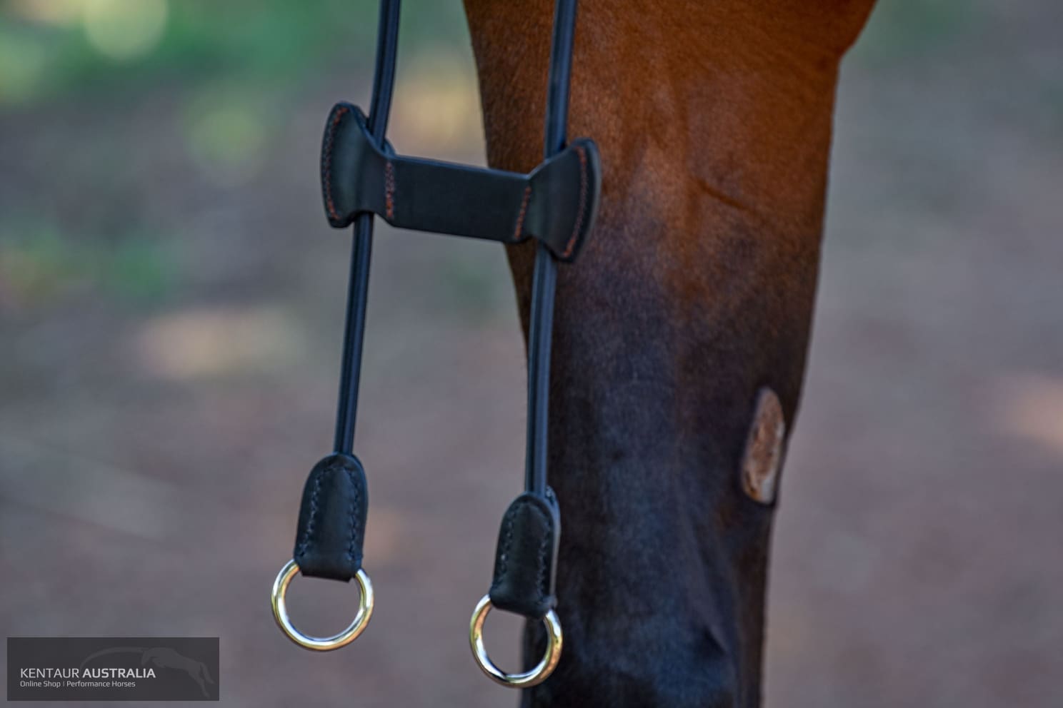 Kentaur ’Elastic’ Martingale Breastplates