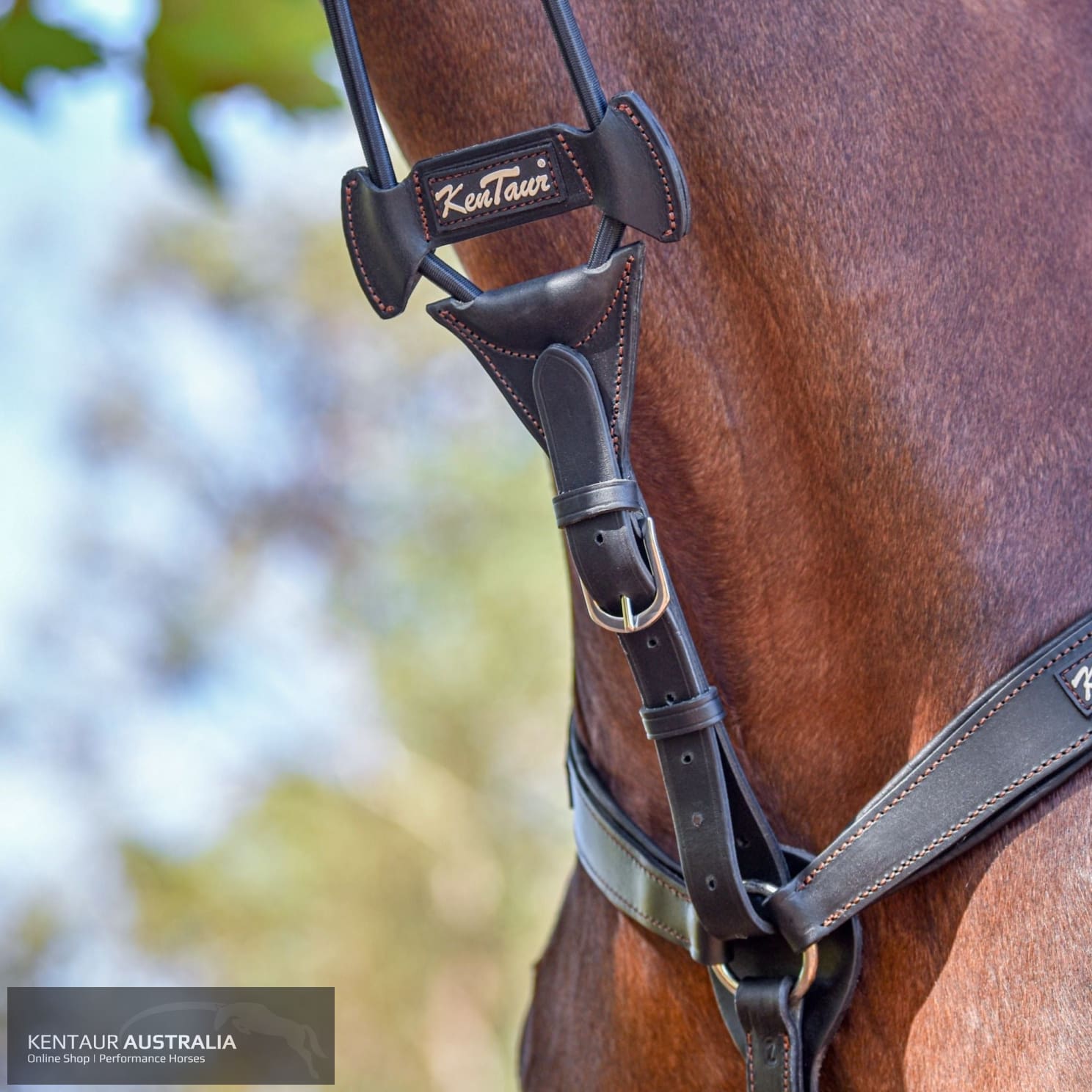 Kentaur ’Elastic’ Martingale Black Breastplates