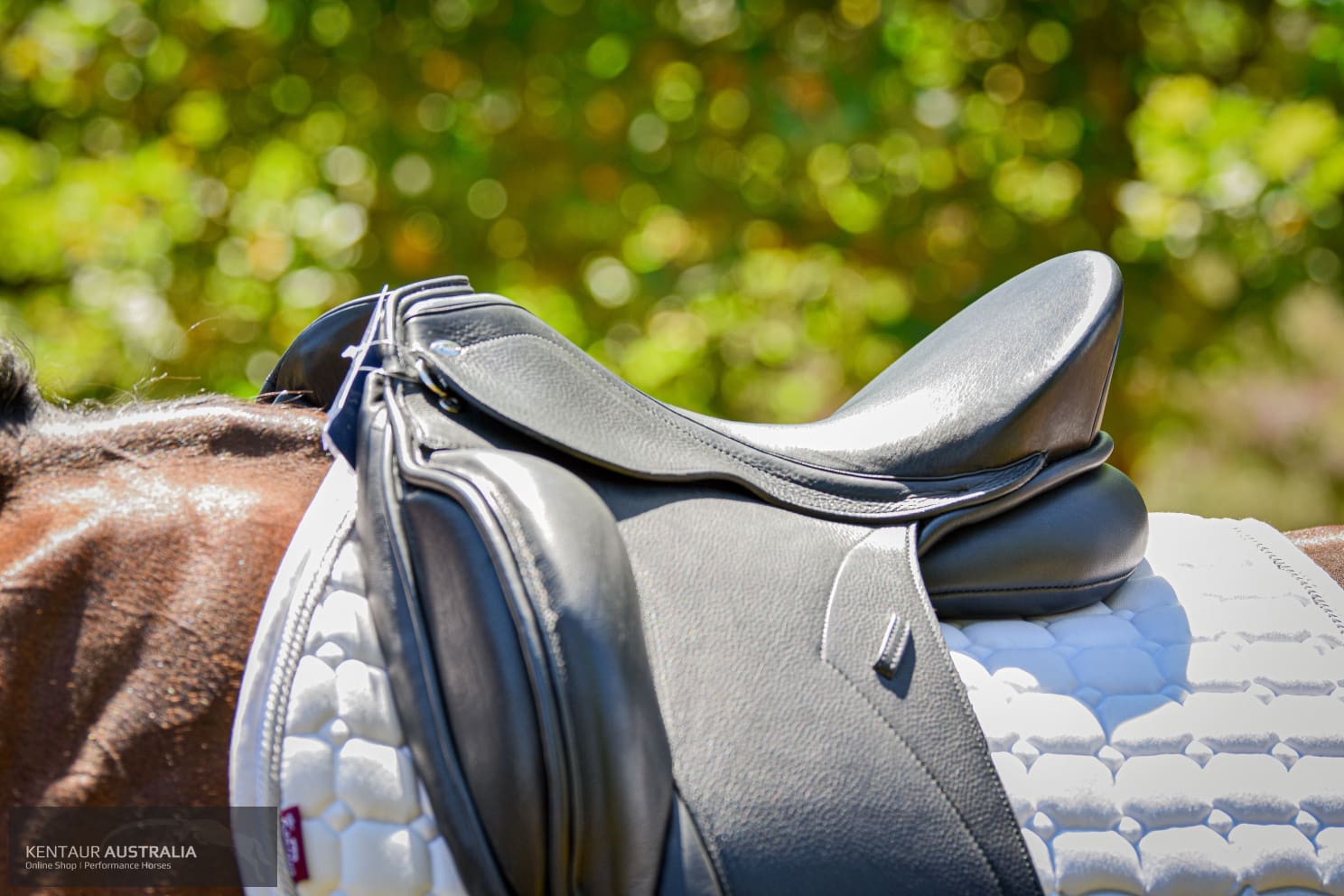 Kentaur ’Elektra’ Dressage Saddle Dressage Saddles