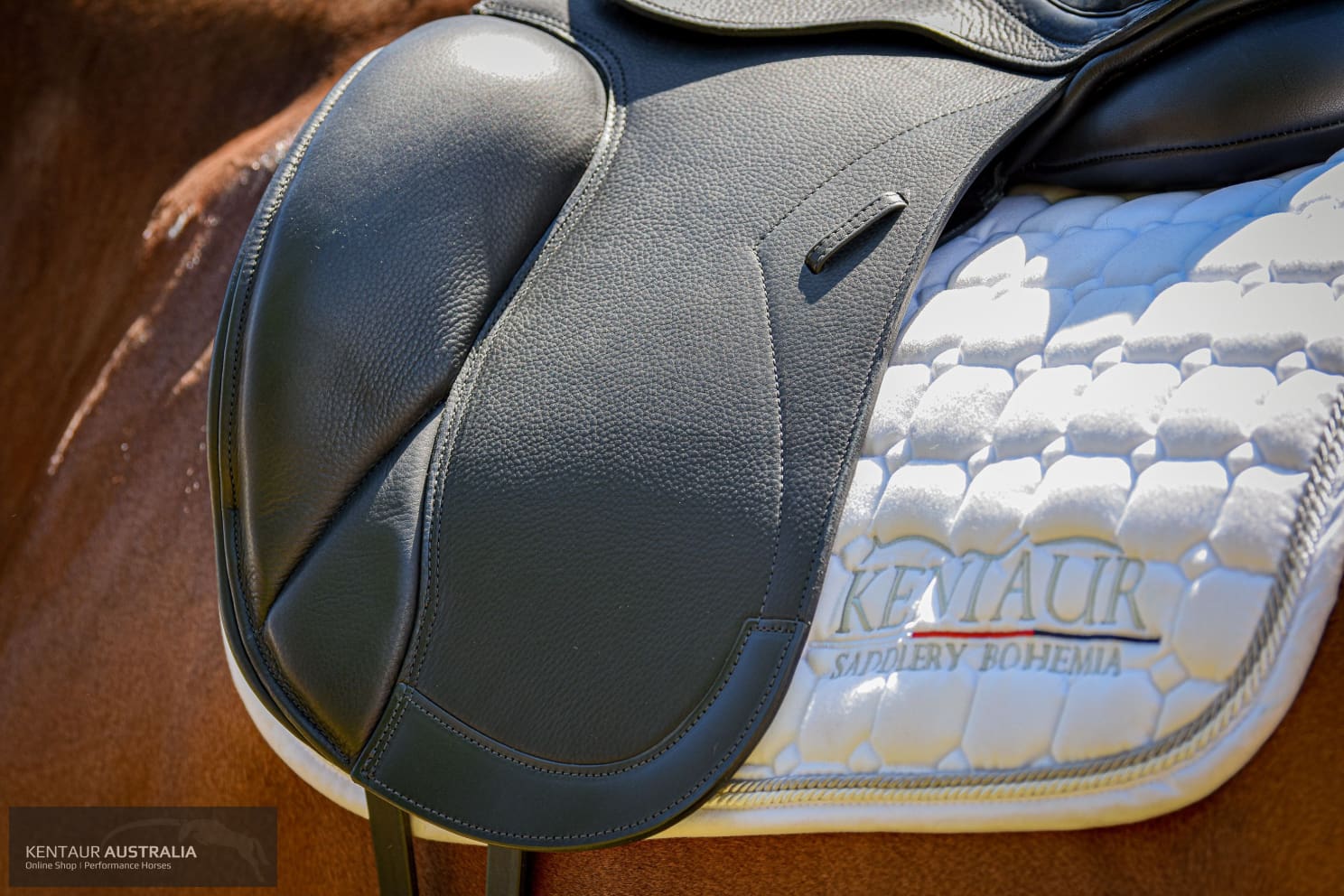 Kentaur ’Elektra’ Dressage Saddle Dressage Saddles