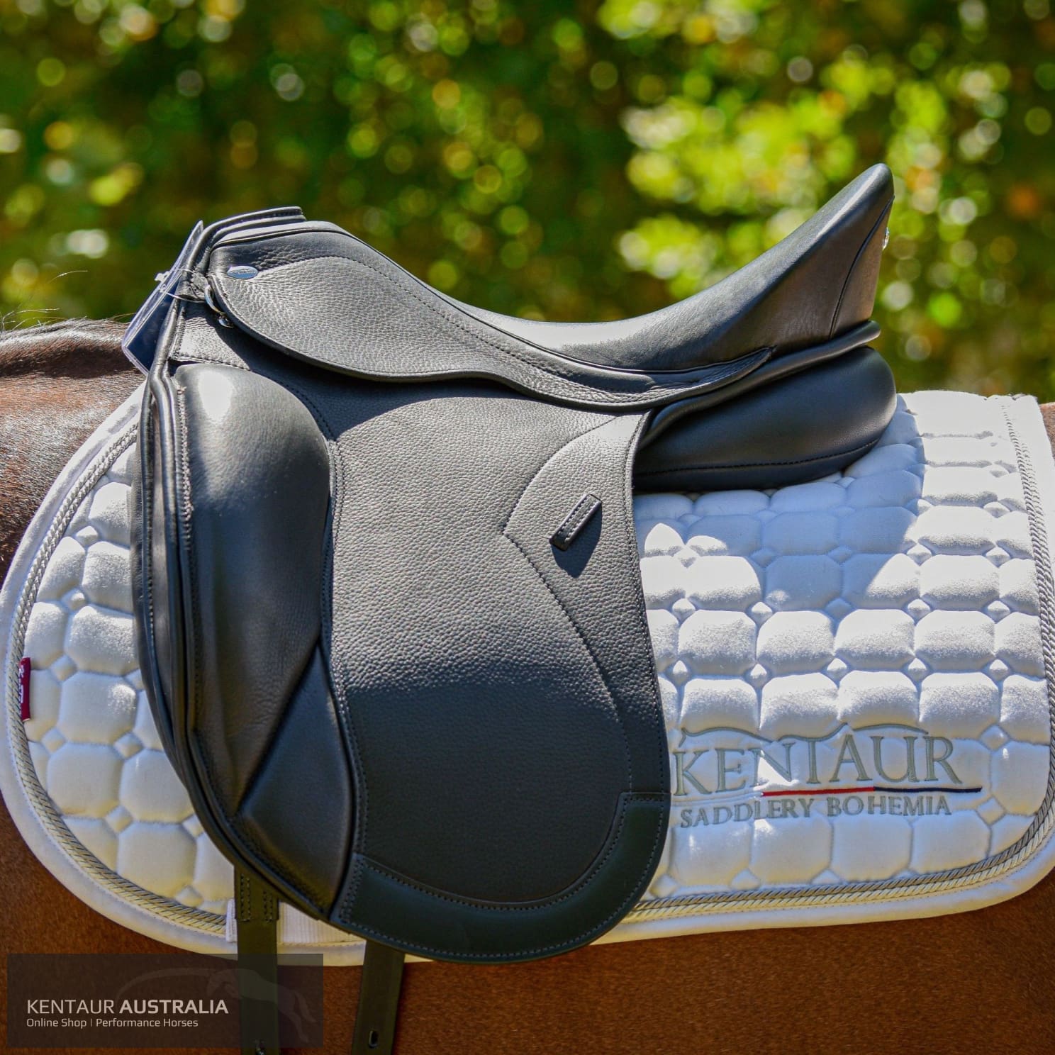 Kentaur ’Elektra’ Dressage Saddle Dressage Saddles