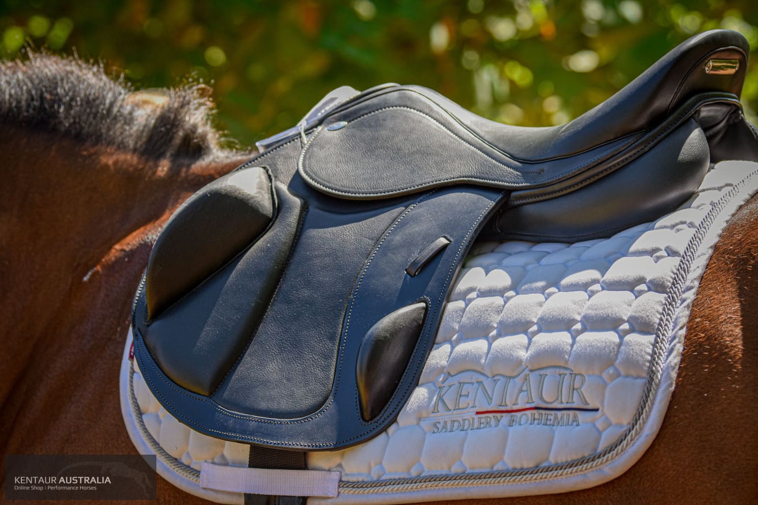 Kentaur ’Eventer’ Cross-Country Saddle Jumping Saddles