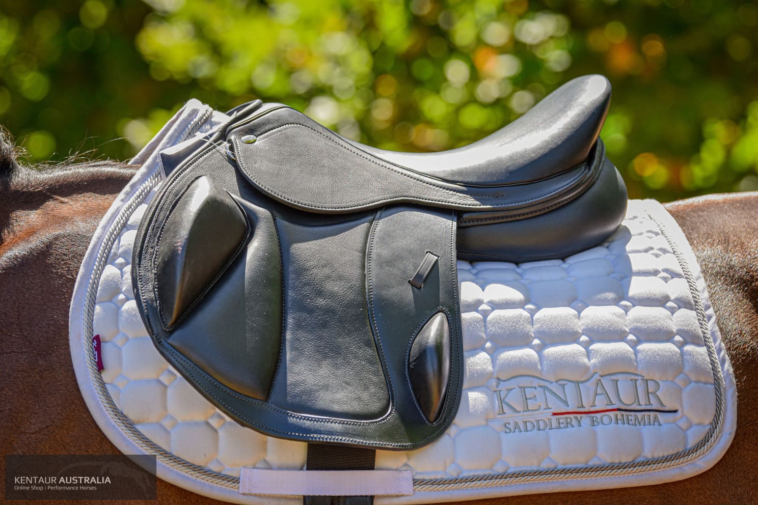 Kentaur ’Eventer’ Cross-Country Saddle Jumping Saddles