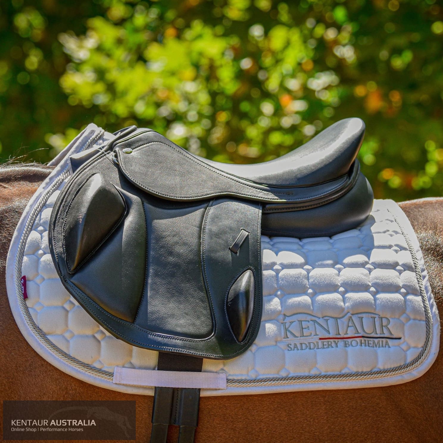 Kentaur ’Eventer’ Cross-Country Saddle Jumping Saddles