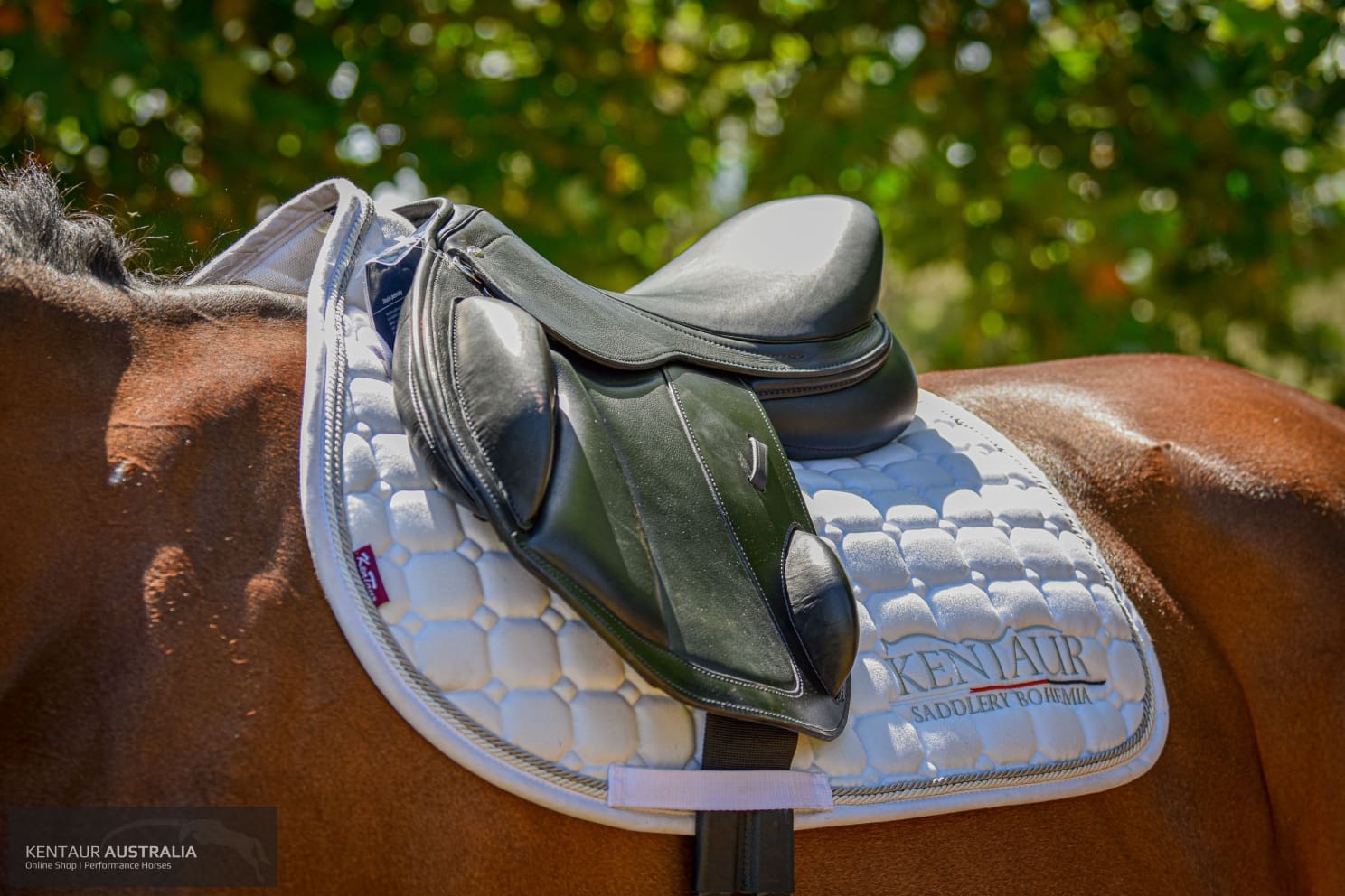 Kentaur ’Eventer’ Cross-Country Saddle Jumping Saddles