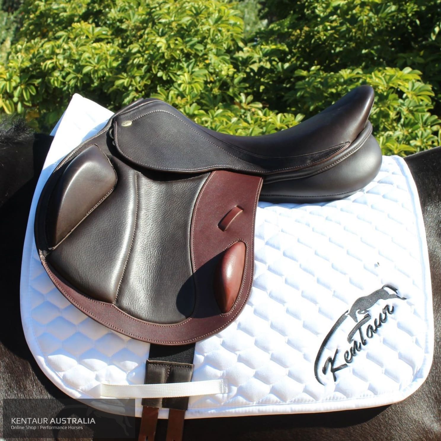 Kentaur Eventer Cross-Country Saddle Jumping Saddles