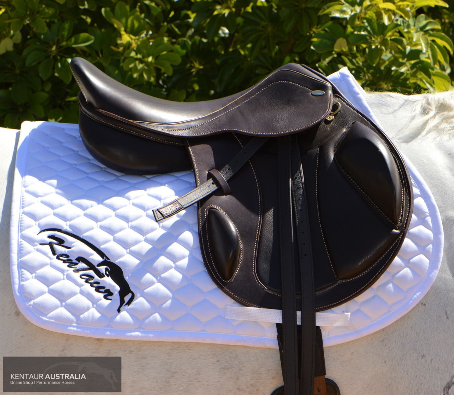 Kentaur Eventer Cross-Country Saddle Brown Jumping Saddles