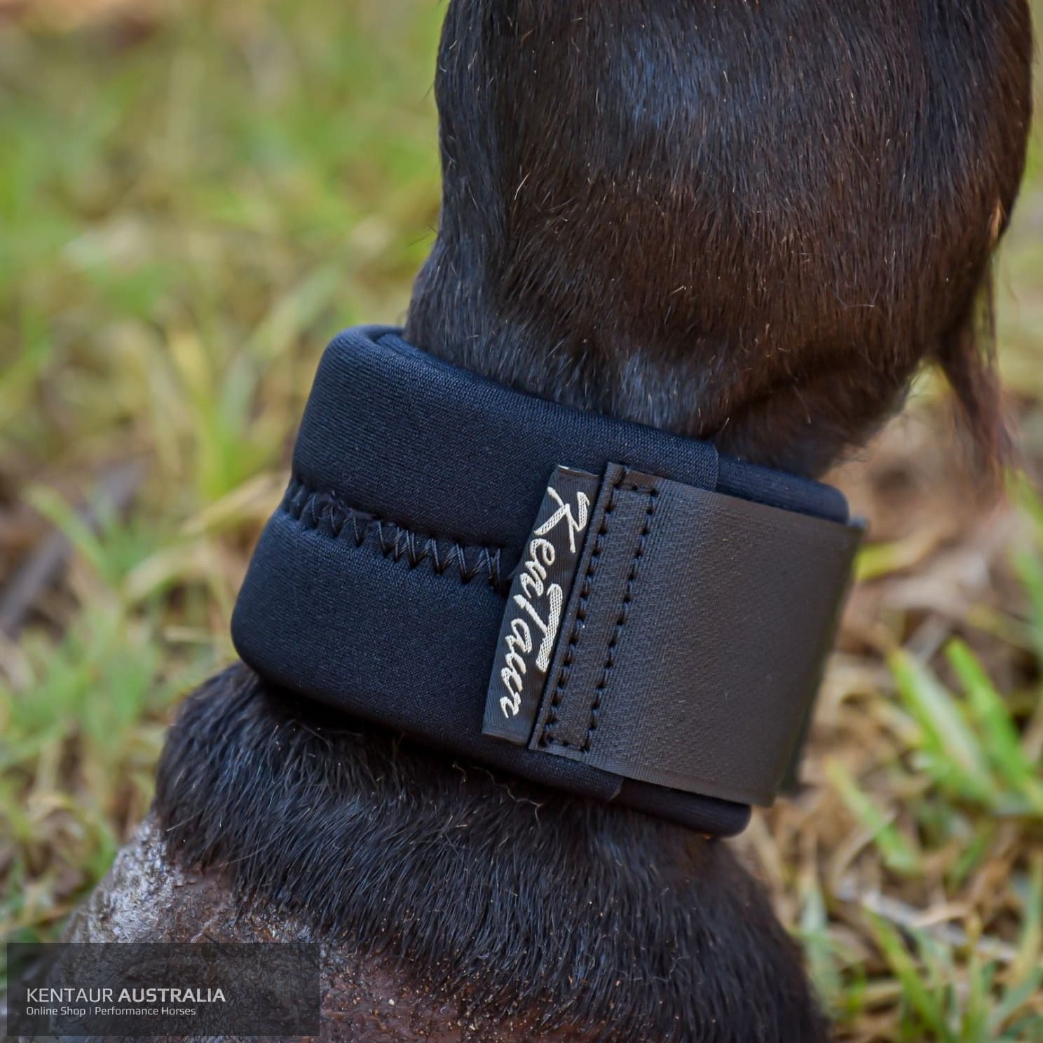 Kentaur Fetlock Belt Black Bell Boots