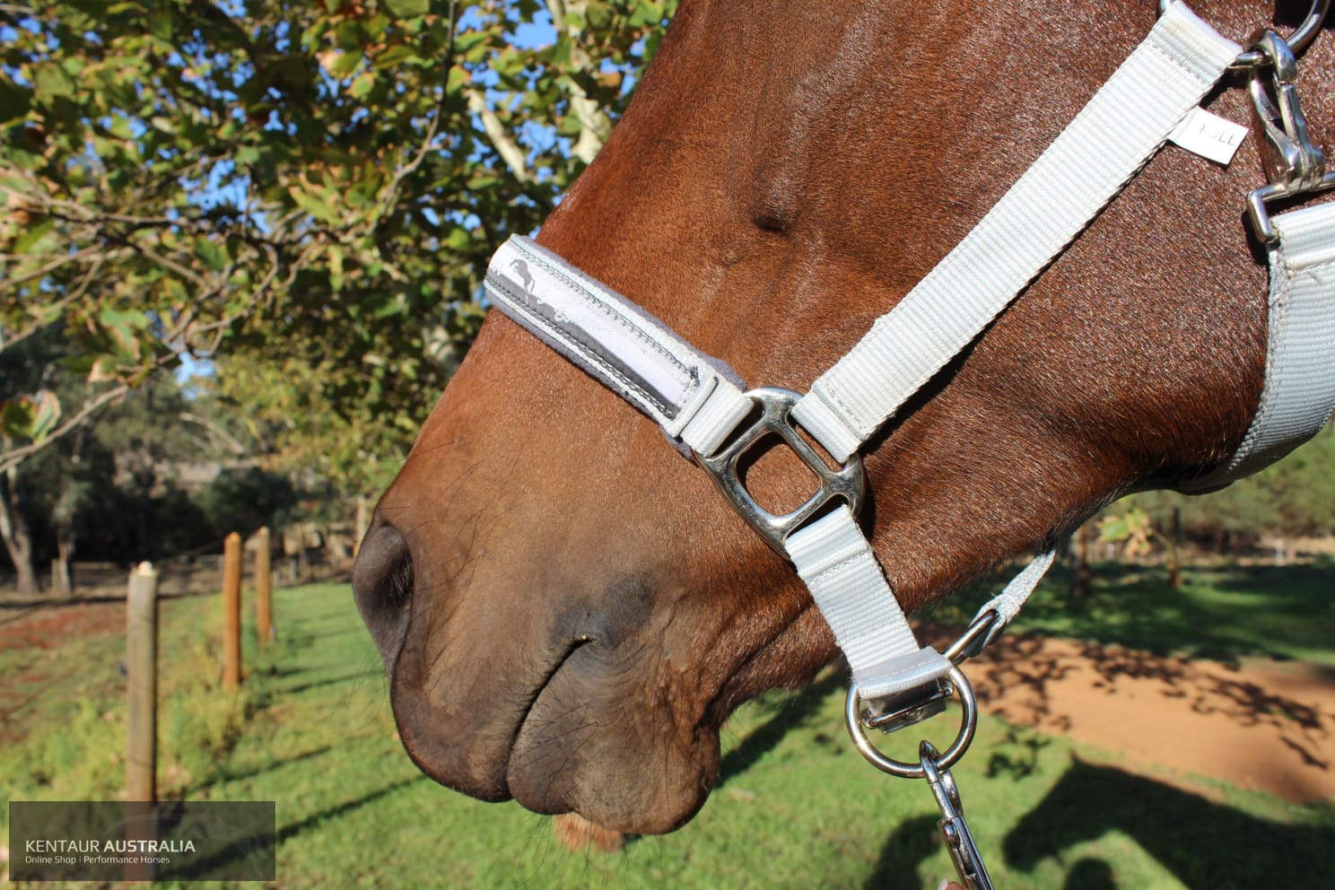 Kentaur ’Fleece’ Halter Halters &amp; Flyveils