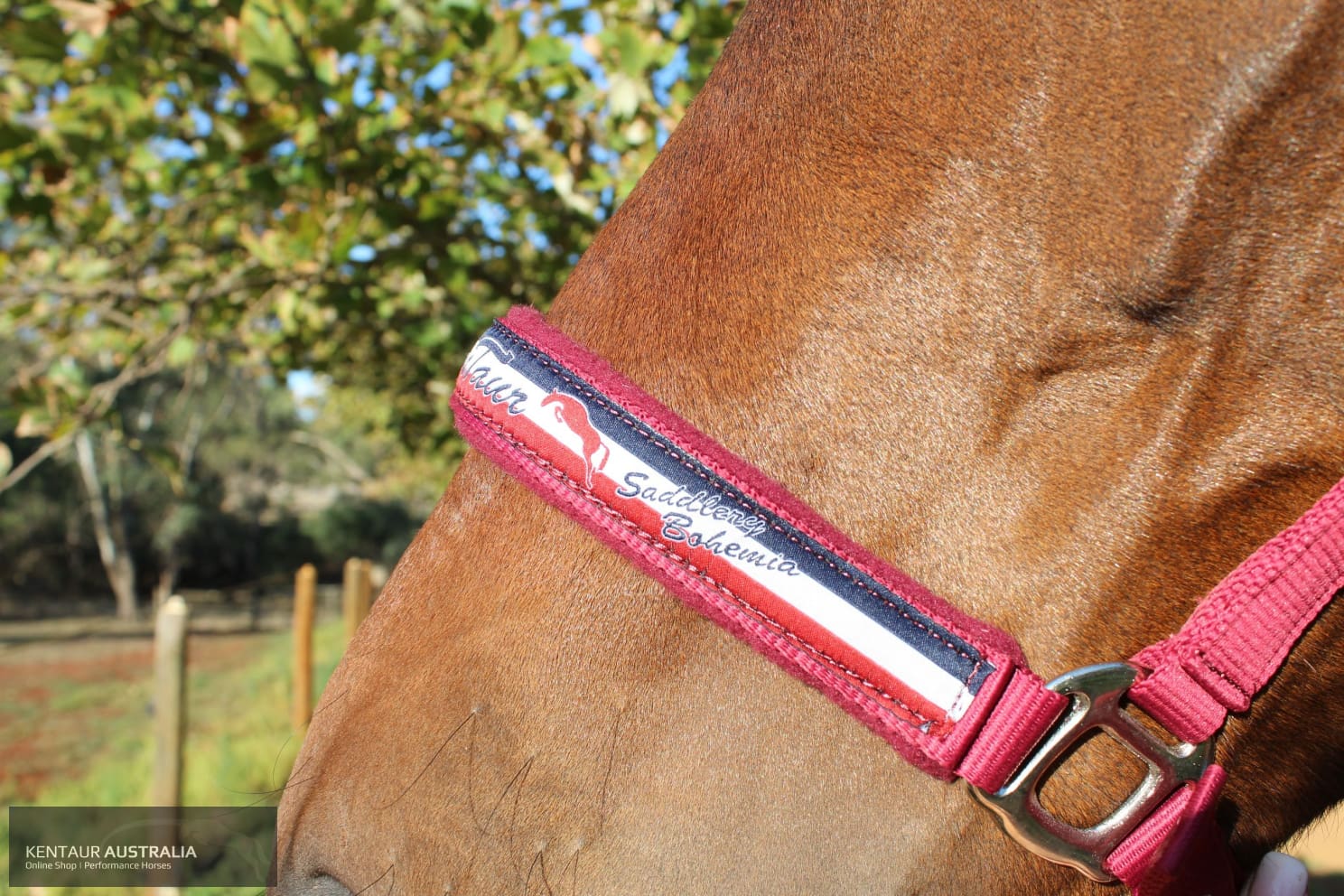 Kentaur ’Fleece’ Halter Halters &amp; Flyveils