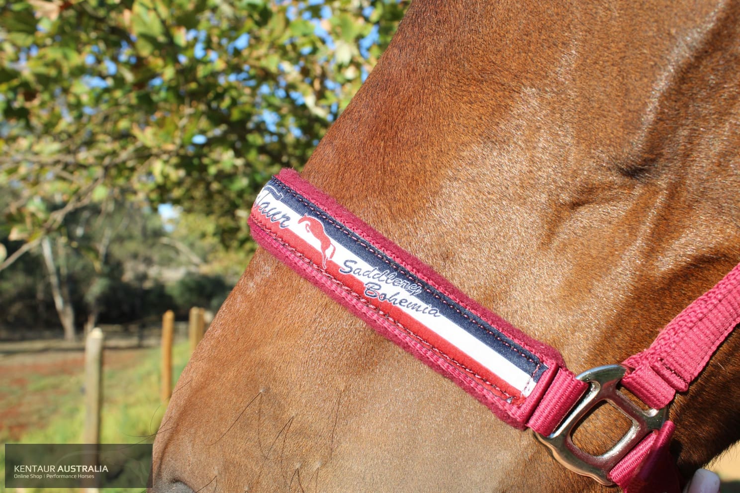 Kentaur ’Fleece’ Halter Halters & Flyveils