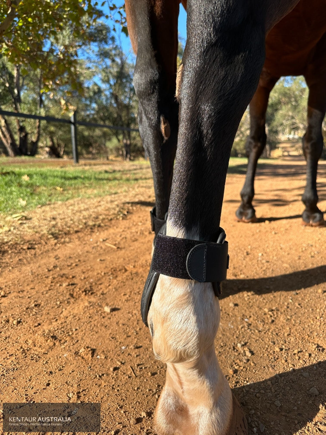 Kentaur ’Flicker Rear’ Hind Boot Jumping Boots