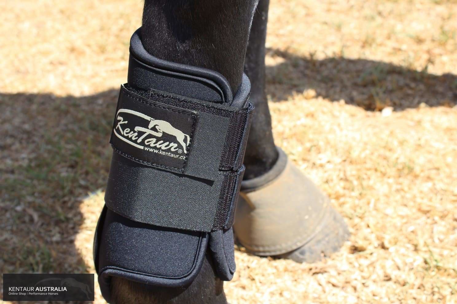 Kentaur Hind Neoprene Boots dressage boots