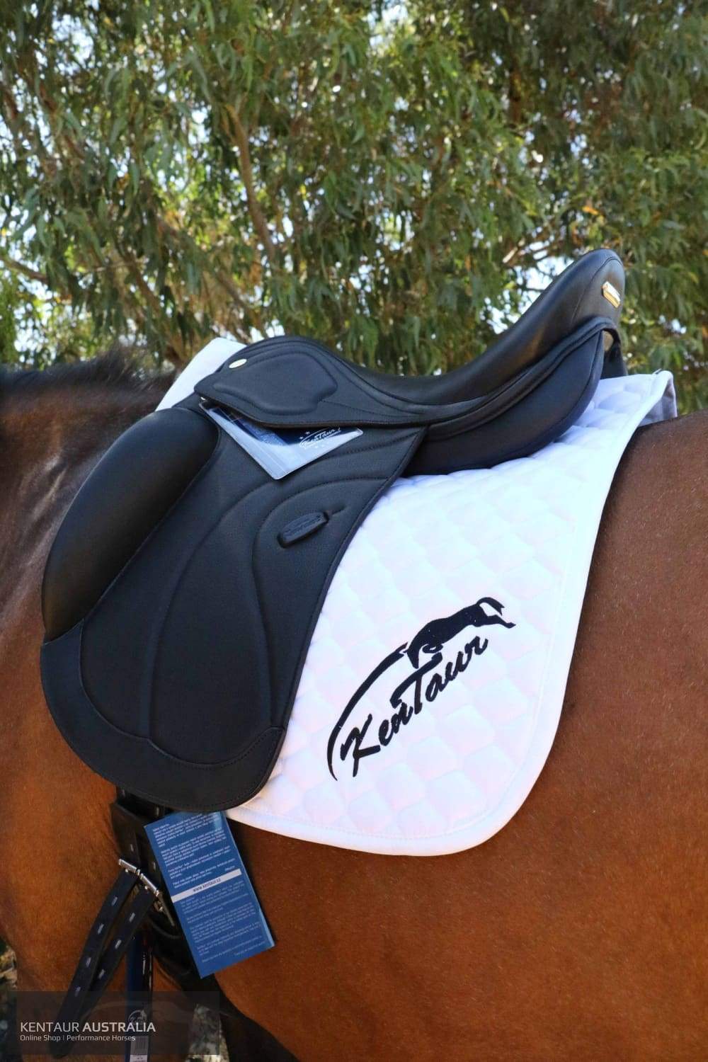 Kentaur Odyssey Dressage Saddle Saddles