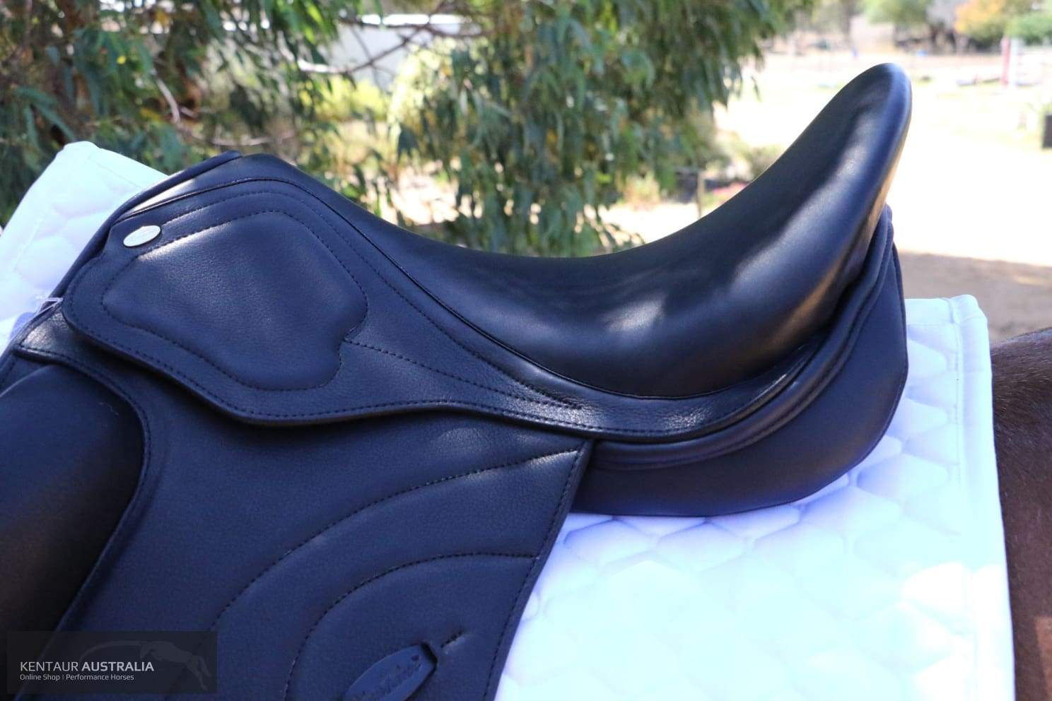 Kentaur Odyssey Dressage Saddle Saddles