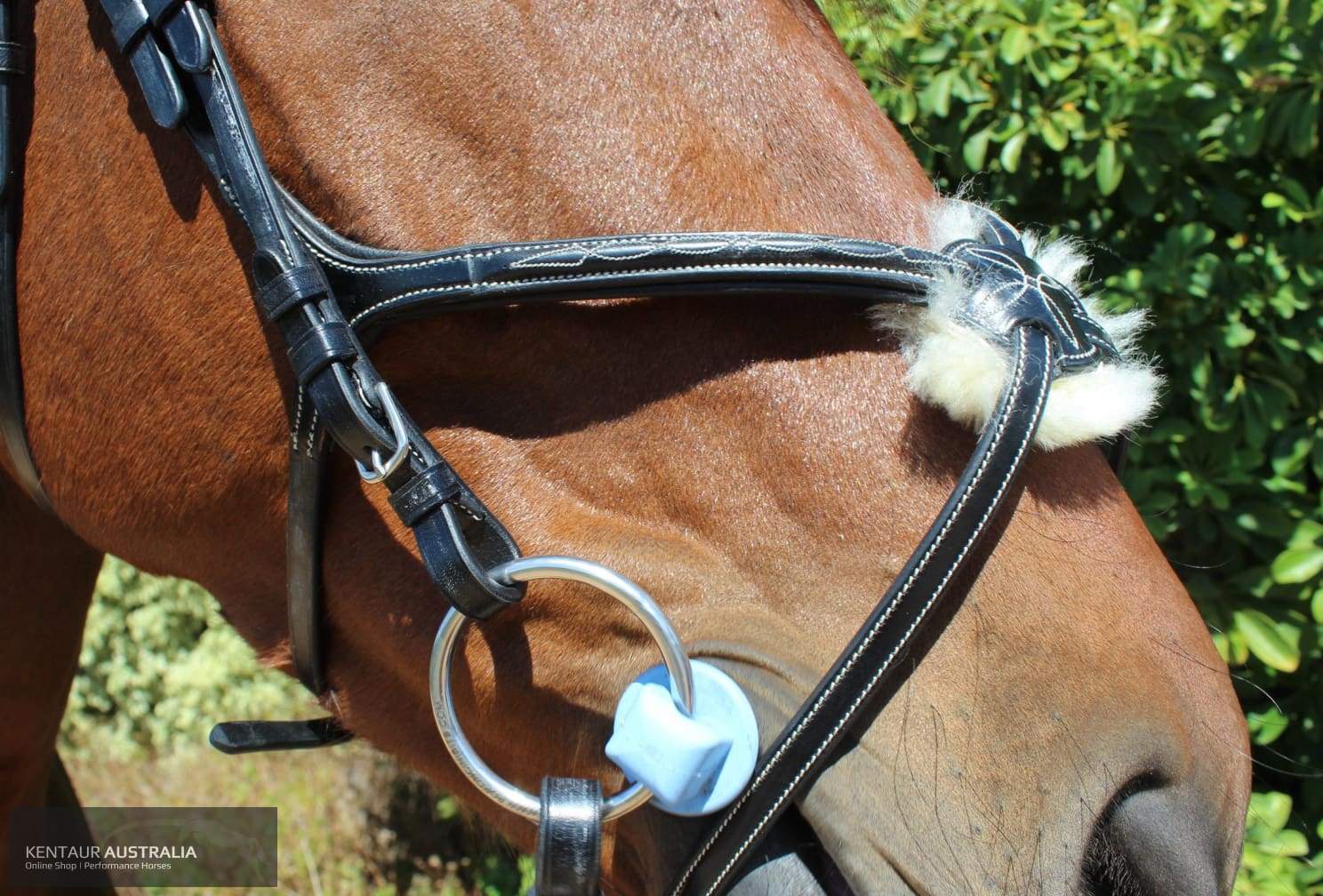 Kentaur Knoxville Bridle Bridles