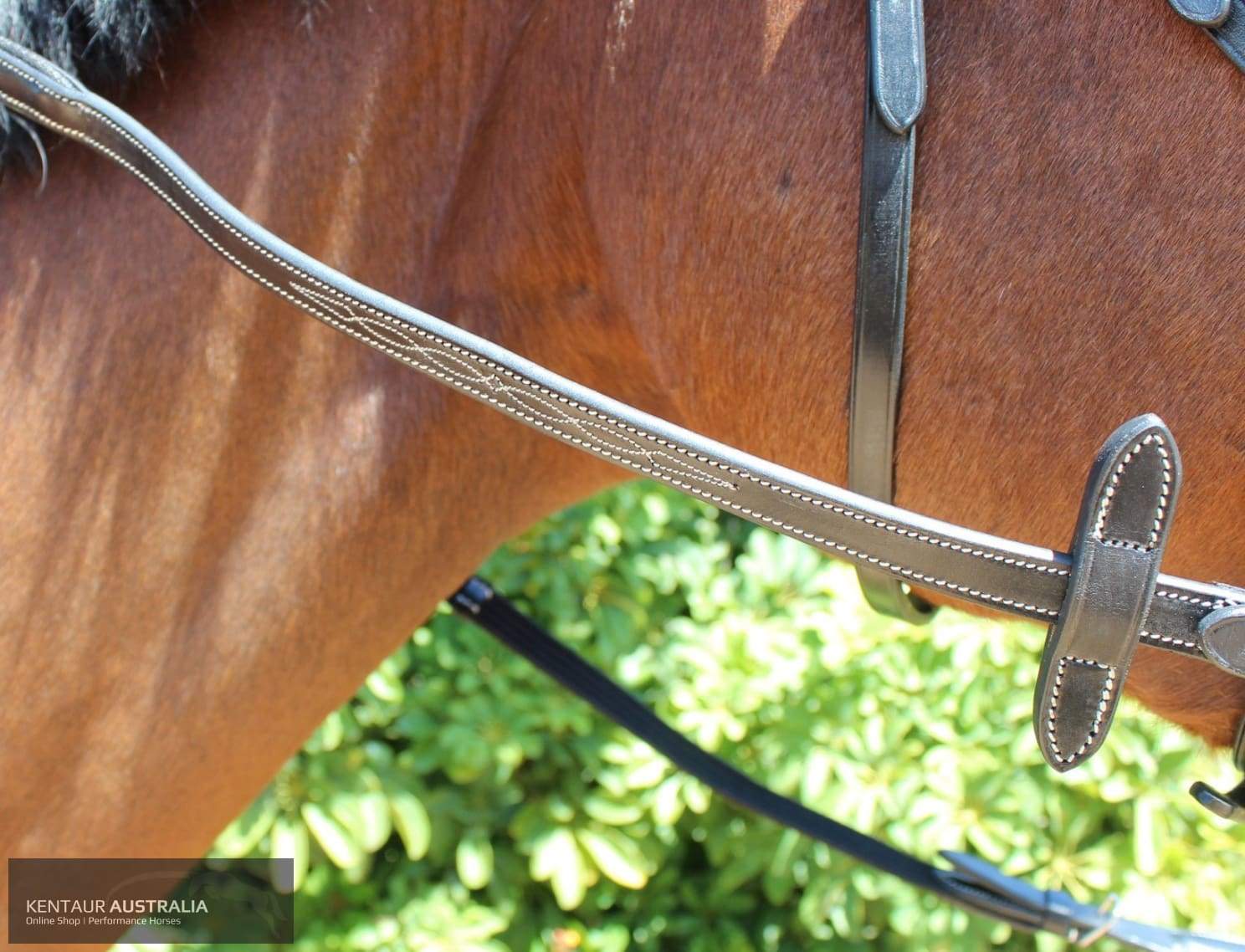 Kentaur Knoxville Bridle Bridles