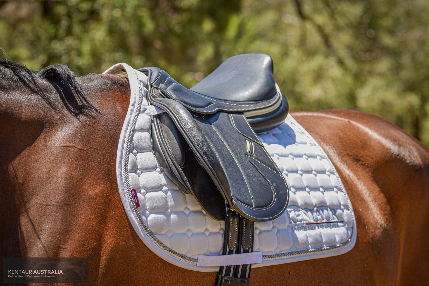 Kentaur ’Kronos’ Jumping Saddle Jumping Saddles