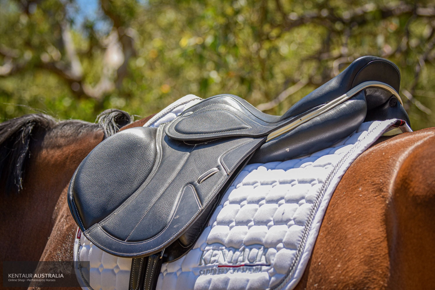 Kentaur ’Kronos’ Jumping Saddle Jumping Saddles