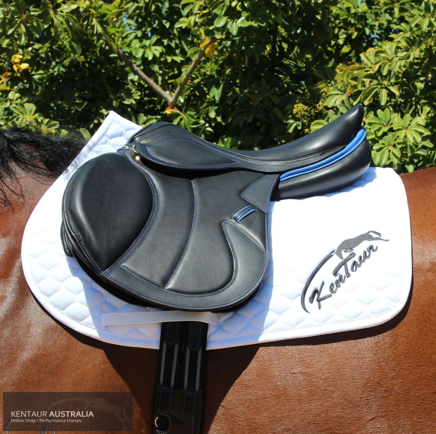 Kentaur Kronos Jumping Saddle Black Jumping Saddles