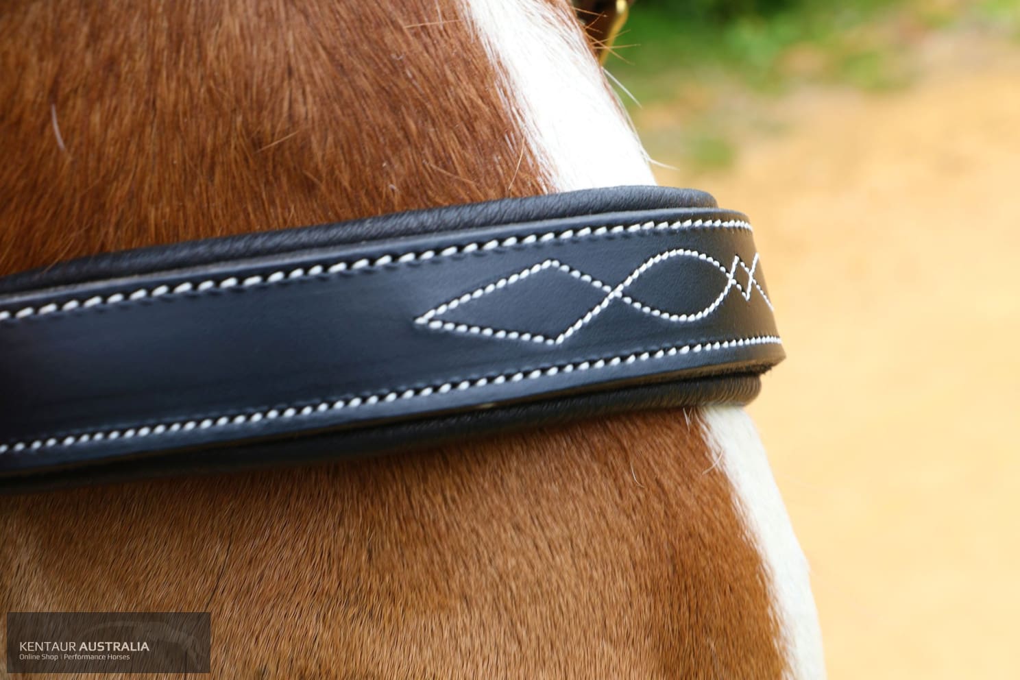 Kentaur Leather Halter With Stitching Halters & Flyveils