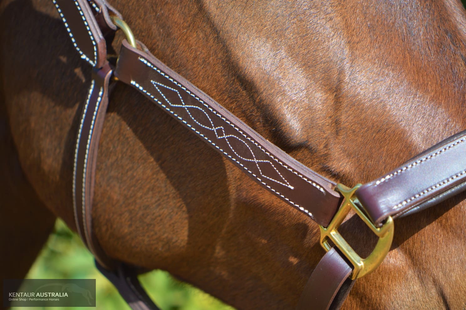 Kentaur Leather Halter With Stitching Halters & Flyveils