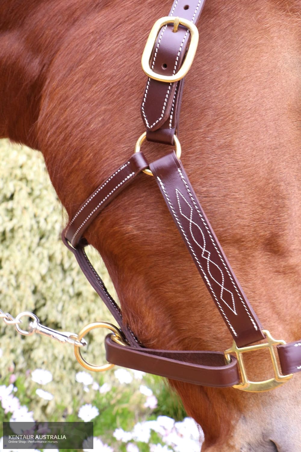 Kentaur Leather Halter With Stitching Halters & Flyveils