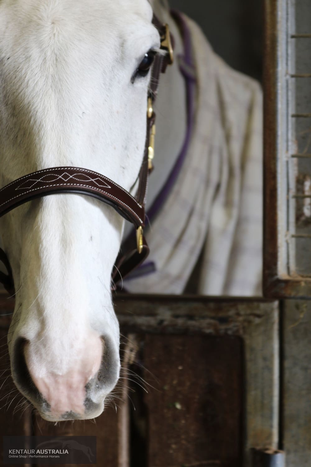 Kentaur Leather Halter With Stitching Halters & Flyveils