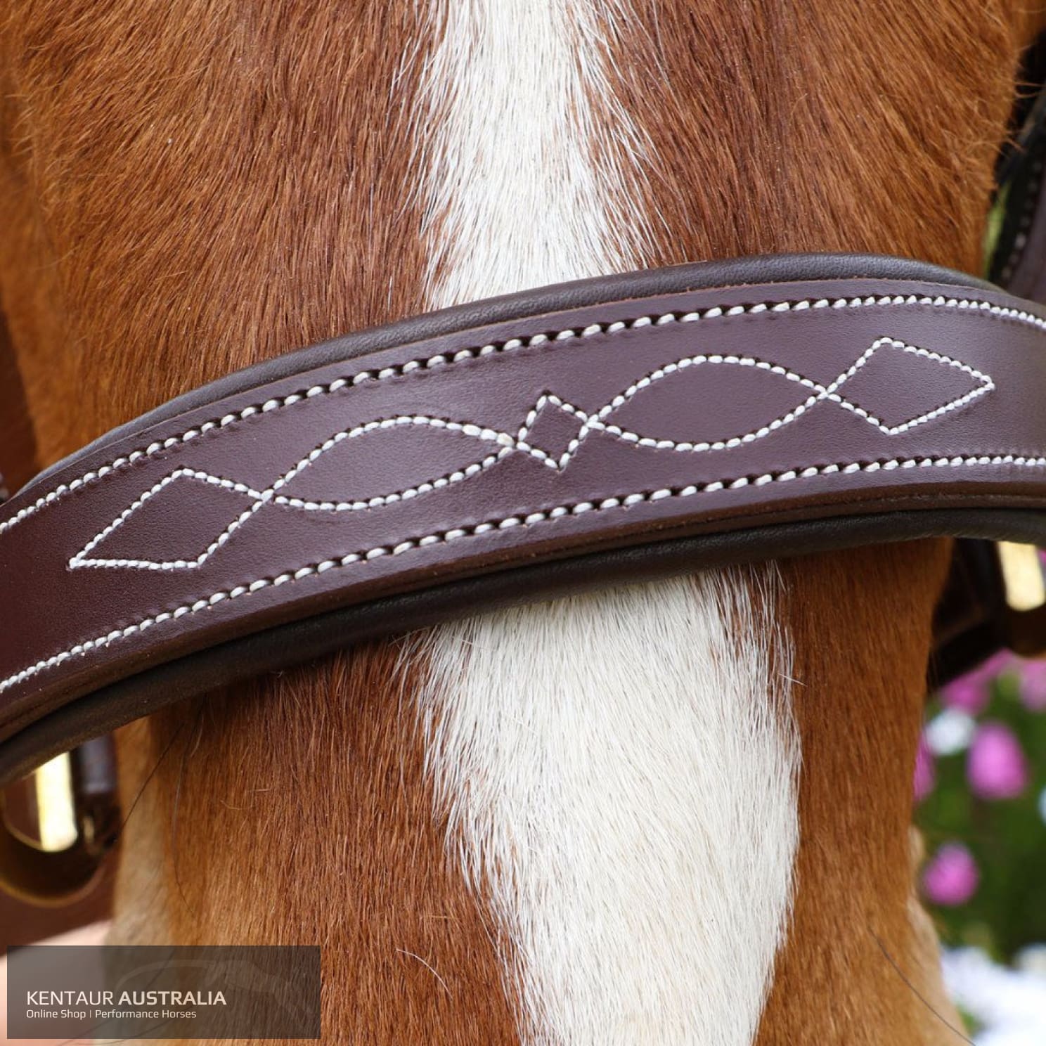 Kentaur Leather Halter With Stitching Halters & Flyveils