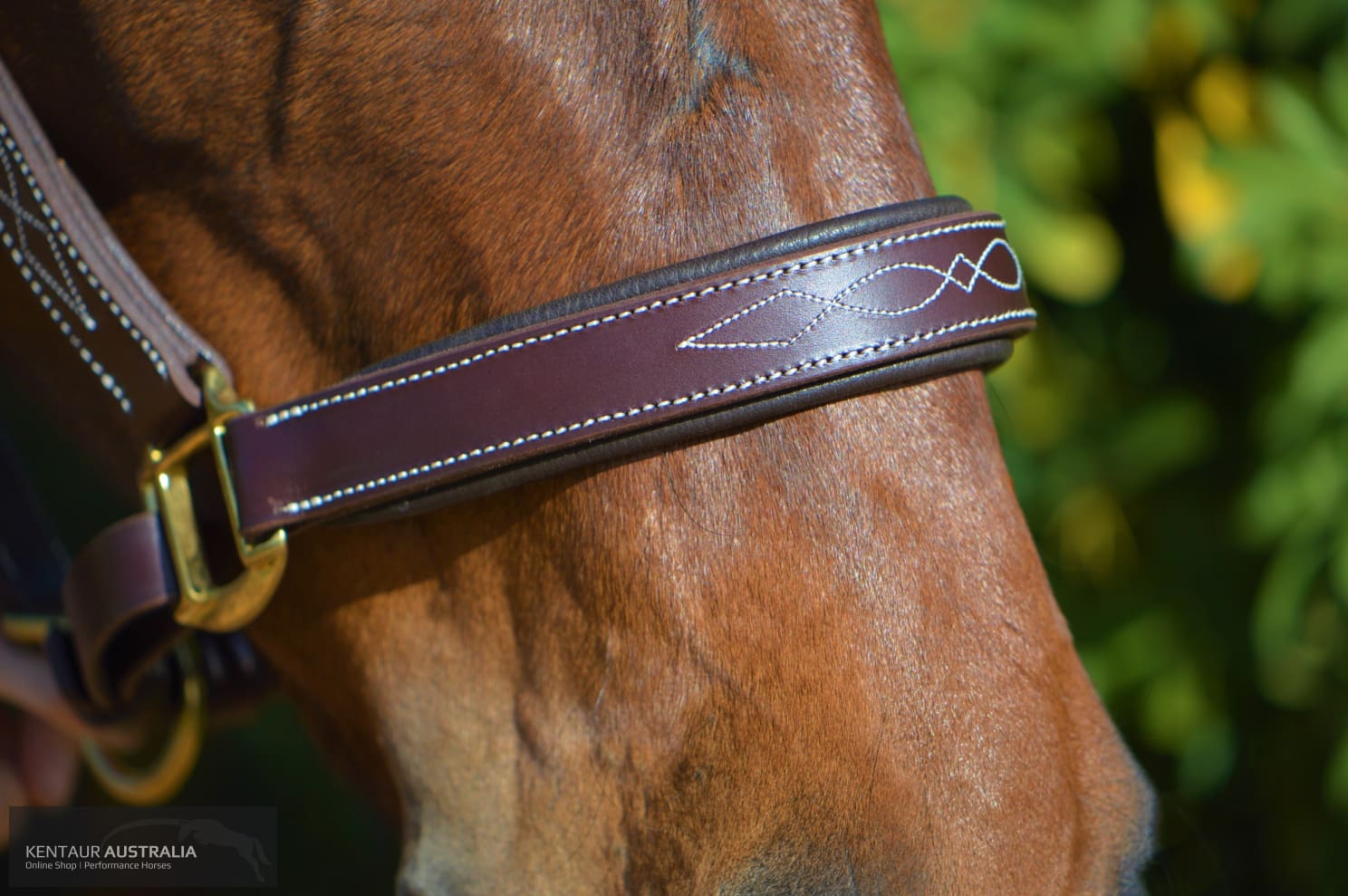 Kentaur Leather Halter With Stitching Halters & Flyveils