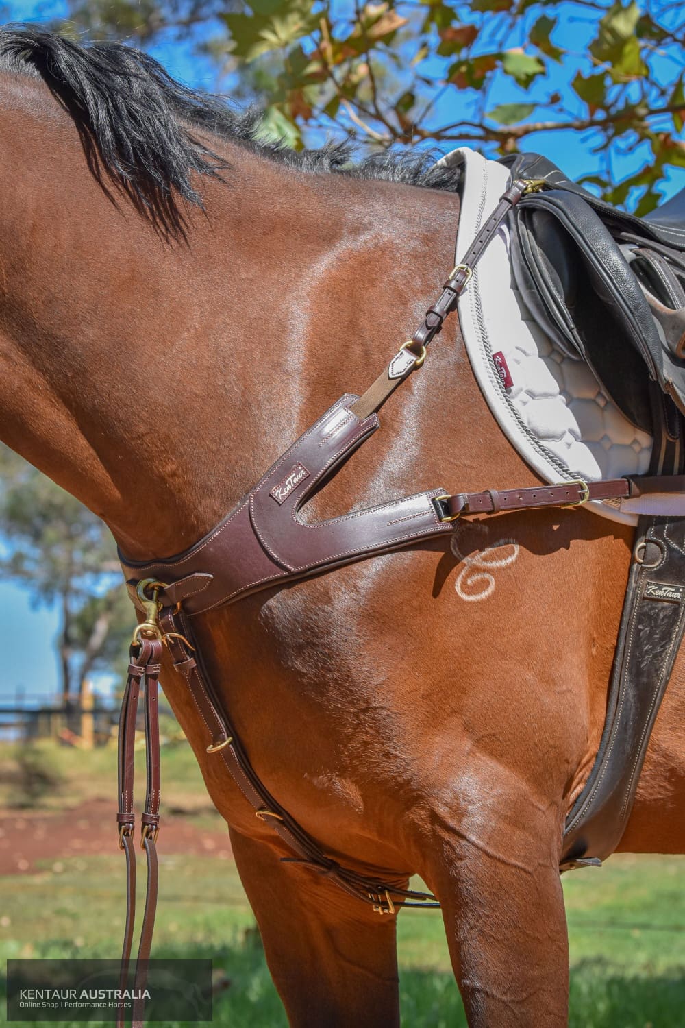 Kentaur ’Leon’ Breastplate Breastplates