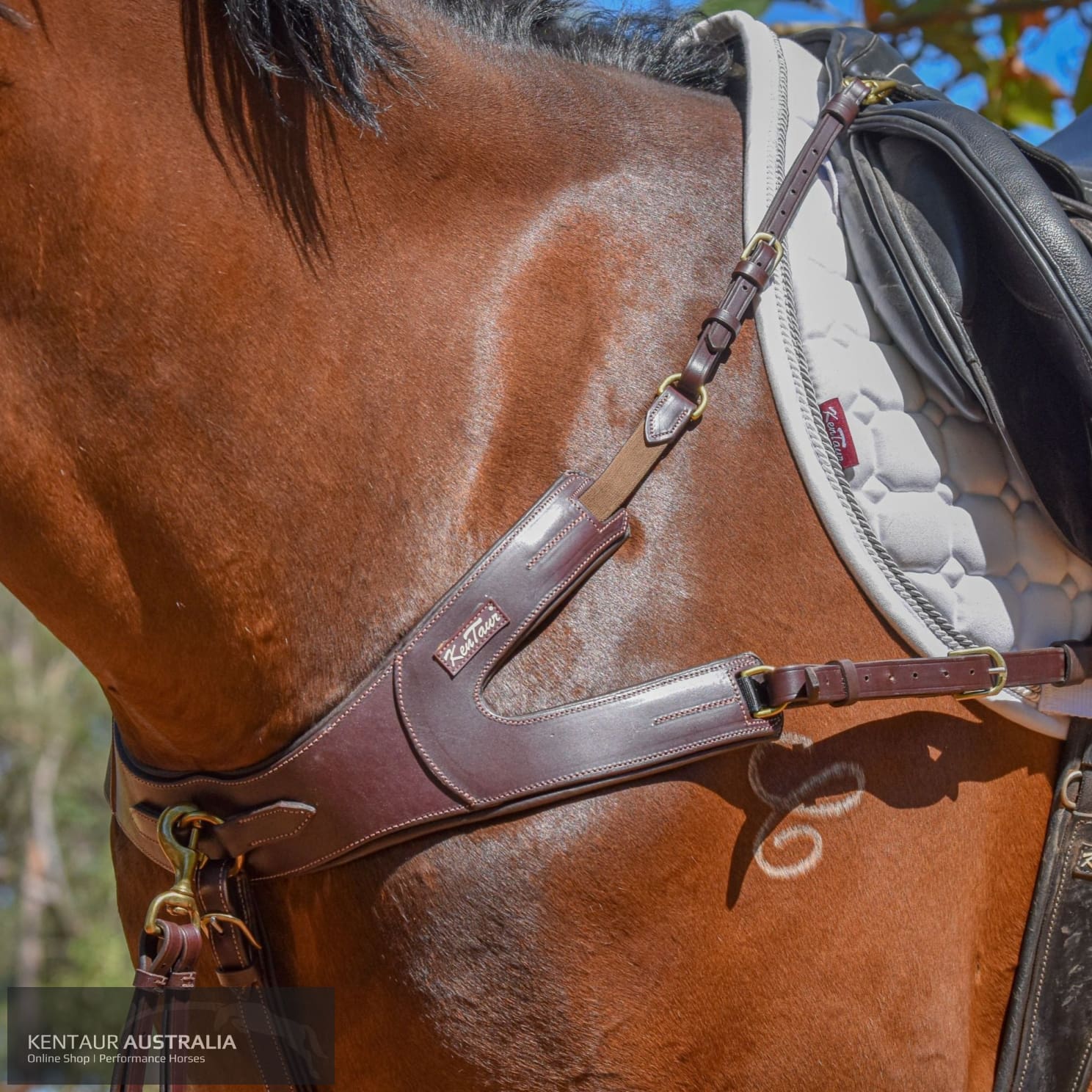 Kentaur ’Leon’ Breastplate Dark Brown / Full Breastplates